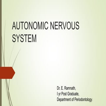 Autonomic nervous system