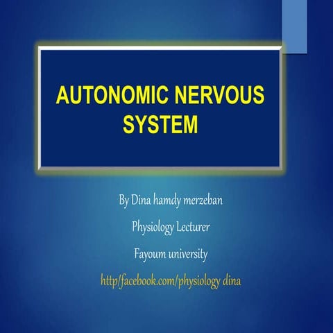 Autonomic nervous system