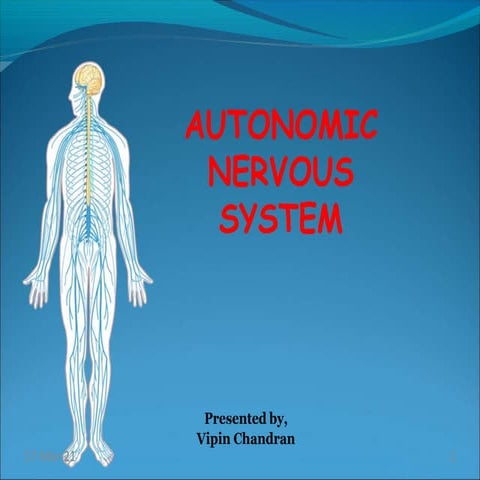Autonomic nervous system