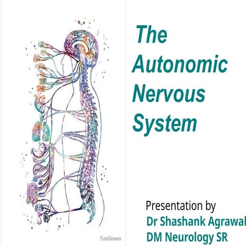 AUTONOMIC NERVOUS SYSTEM PRESENTE BY DM NEUROLOGY .pptx