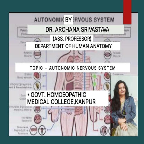 AUTONOMIC NERVOUS SYSTEM Diagrams.pptx.pdf