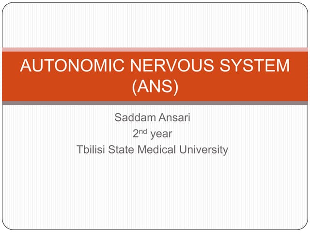 Central Nervous System The Autonomic Nervous System