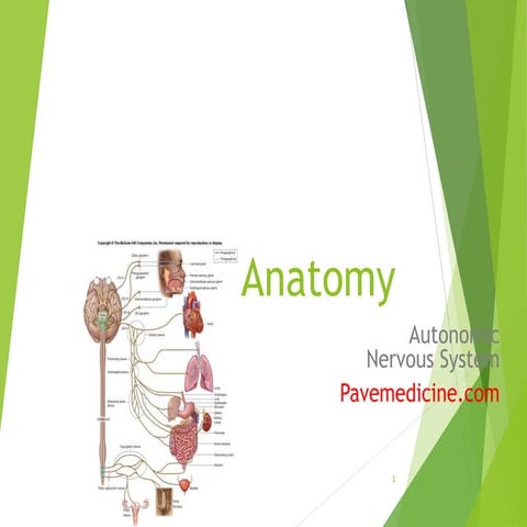 Autonomic ns