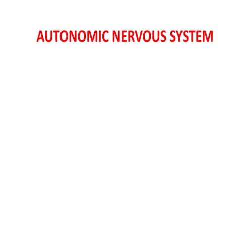 Autonomic NS.ppt