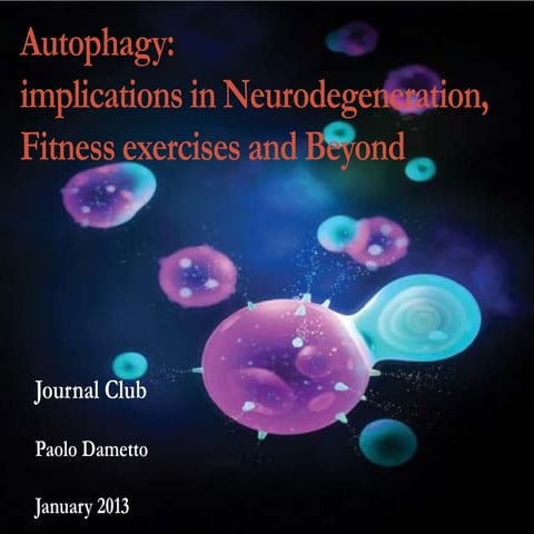 Autophagy: implications in neurodegeneration, fitness exercise and beyond