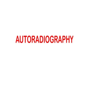 AUTORADIOGRAPHY. Principle and methodology.pptx