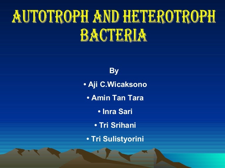 Eubacteria S Secret Diet Autotroph Or Heterotroph - 017rvma