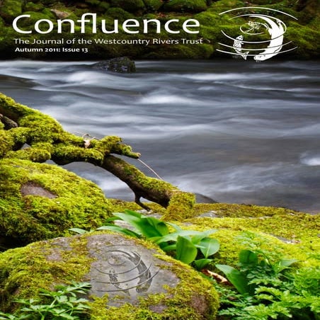 Confluence 14: Autumn 2011