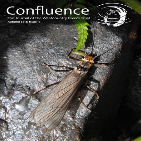 Confluence 15: Autumn 12
