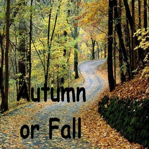 Autumn