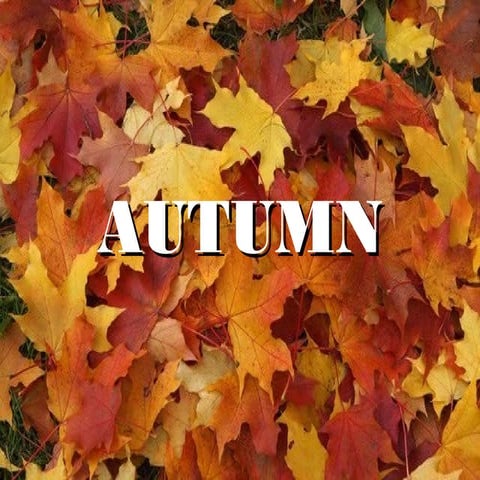 Autumn Anita & Mireia