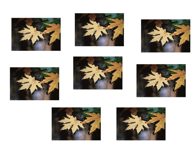 Autumn leaves