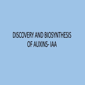 Biosynthesis of Auxin