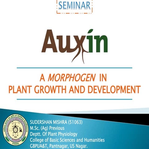 Auxin a complete overview