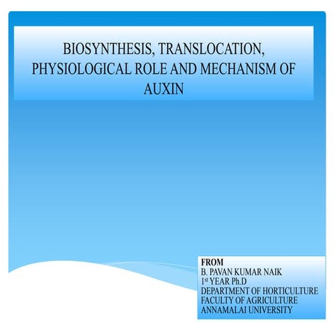 Auxins biosynthesis physiological role and mechanism
