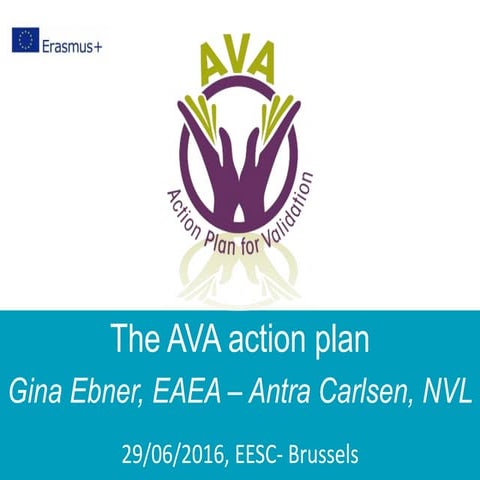 AVA action plan ppt_policy debate