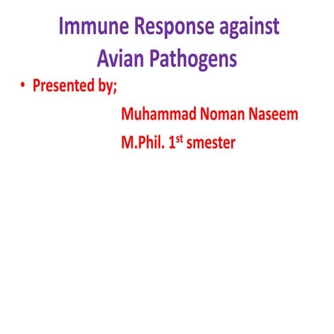Avain immunology