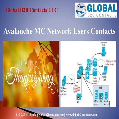 Avalanche mc network users contacts