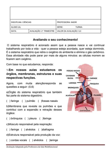 Avaliação Ciências