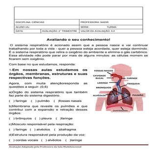 Avaliação Ciências