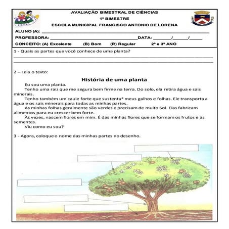 Avaliação bimestral de ciências   2º e 3º ano - 1º bimestre