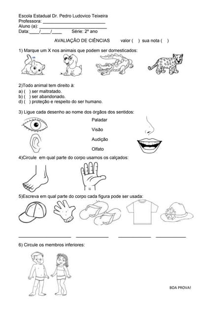 Avaliação de ciências 4ºbim 2º ano