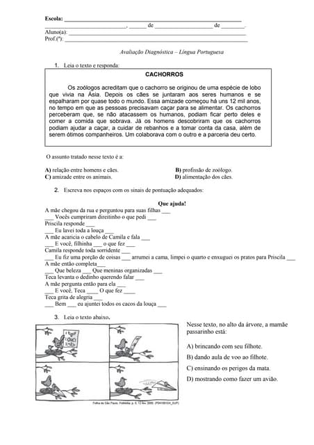 Avaliação diagnostica linguaportugu...