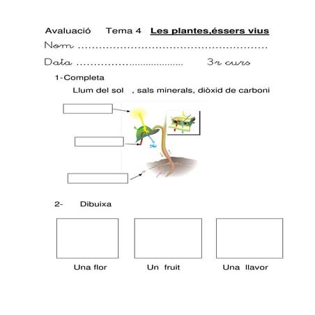 Avaluació les plantes, parts.
