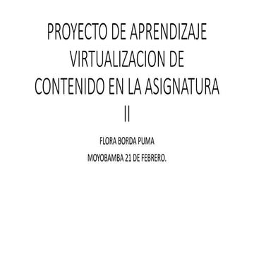 Avance de trabajo final   asignatura ii-flora borda puma