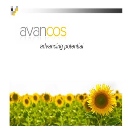 Avancos Scandinavia Presentation (2)