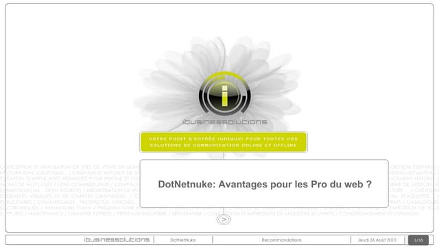 CMS DotNetNuke : avantages pour les professionnels du web