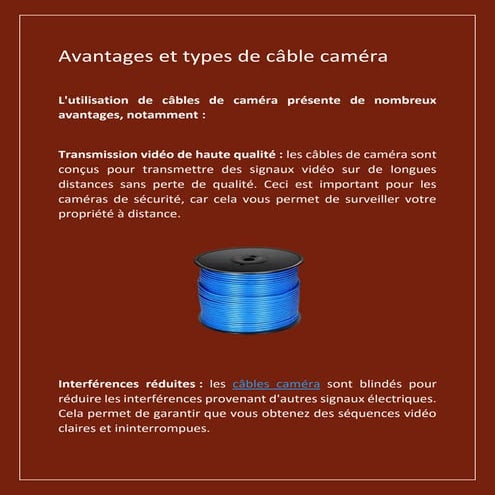 Avantages et types de câble-caméra.pdf