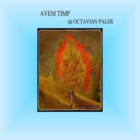  Avem Timp