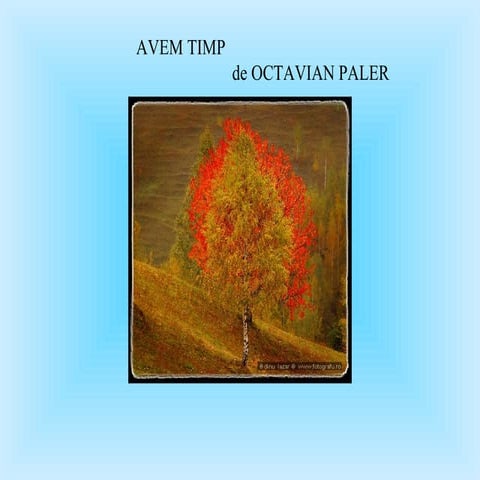 Avem Timp