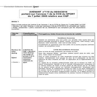 IDCC 2511 Avenant 110 cqp roller sk...