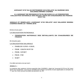 IDCC 733 Avenant n87 relatif aux sa...