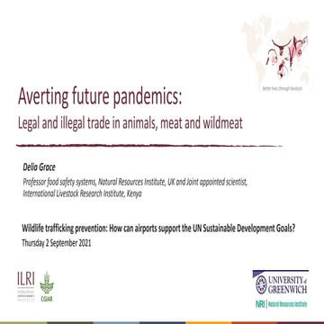 Averting future pandemics: Legal and illegal trade in animals, meat and wildmeat