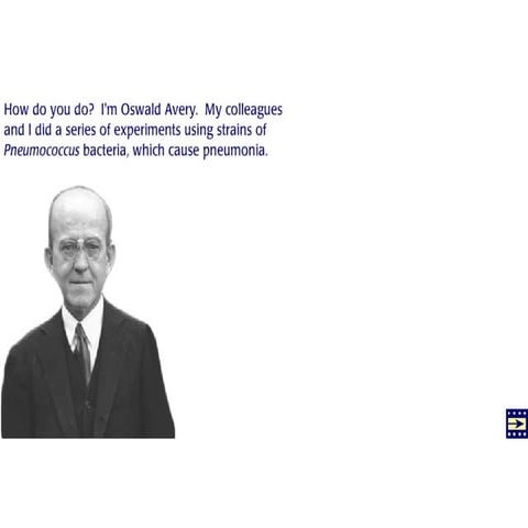 Experimento de Griffith /Avery-McLeod-Mc Carthy