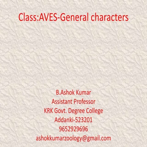 Aves general characters