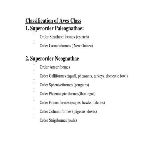 Classification of aves | PPTX