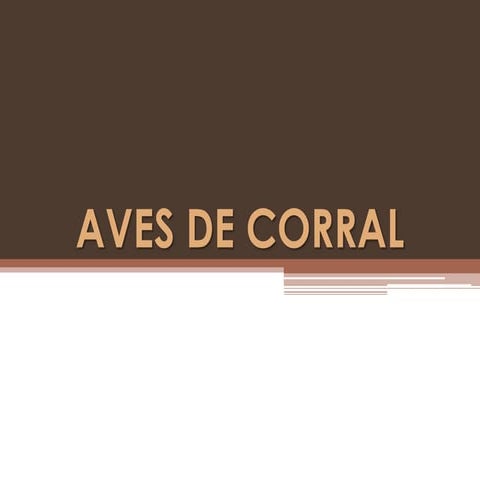 Aves de corral