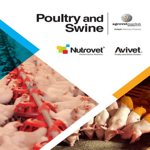 Addvet catalogue injectable | PDF