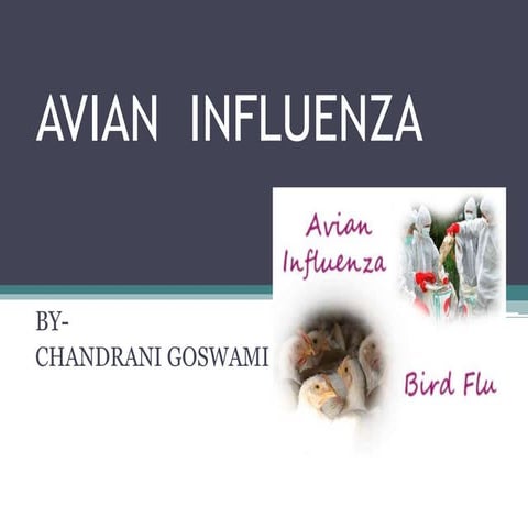 Avian influenza