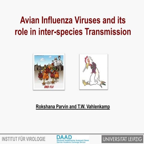 Avian influenza virus and transmission