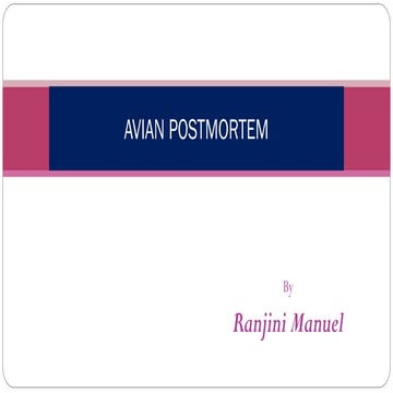 Avian postmortem