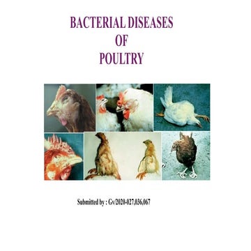Poultry Droppings / Chicken Poop Color Guide | PDF