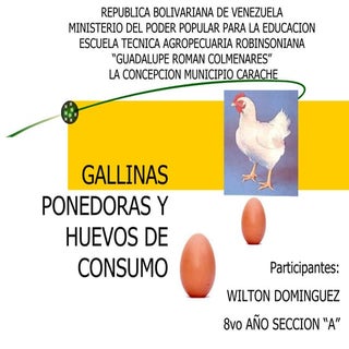 Avicultura