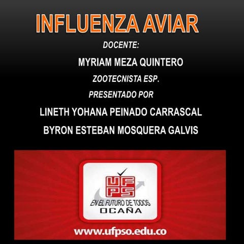 influenza aviar presentacion