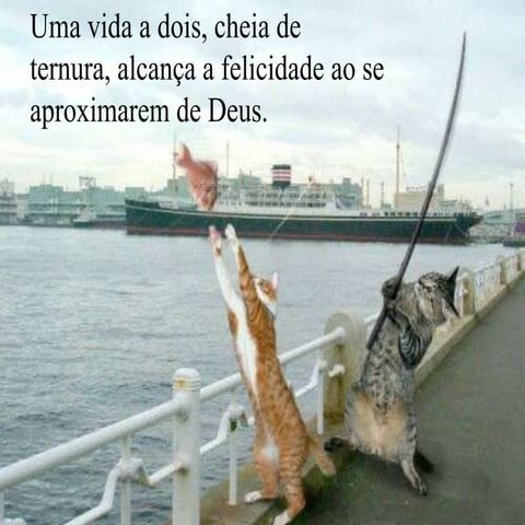 O que-e-fe- | PDF
