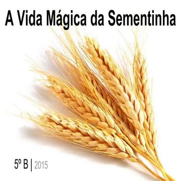 A vida mágica da sementinha   5º b